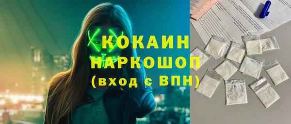 бошки Гусев