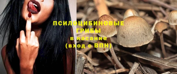 бошки Гусев